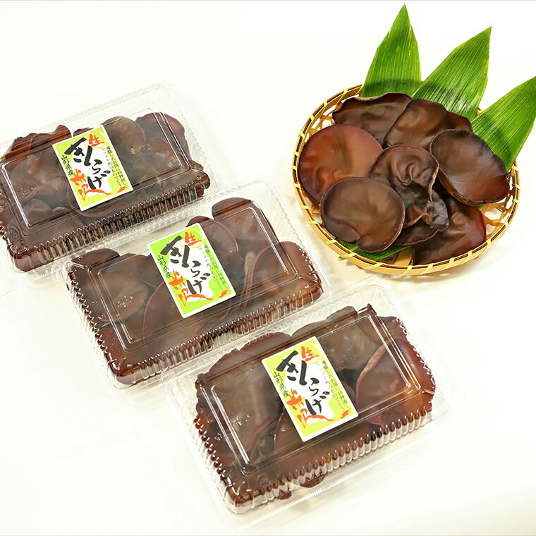 【ふるさと納税】《先行予約》【期間限定】 米沢産 生きくらげ 選べる内容量(計 600g / 1.2kg ) 6～10月中旬頃配送 キクラゲ 木耳 きのこ キノコ 野菜 栄養豊富 肉厚 贈答 ギフト お試し 国産 山形県 米沢市 - 画像2