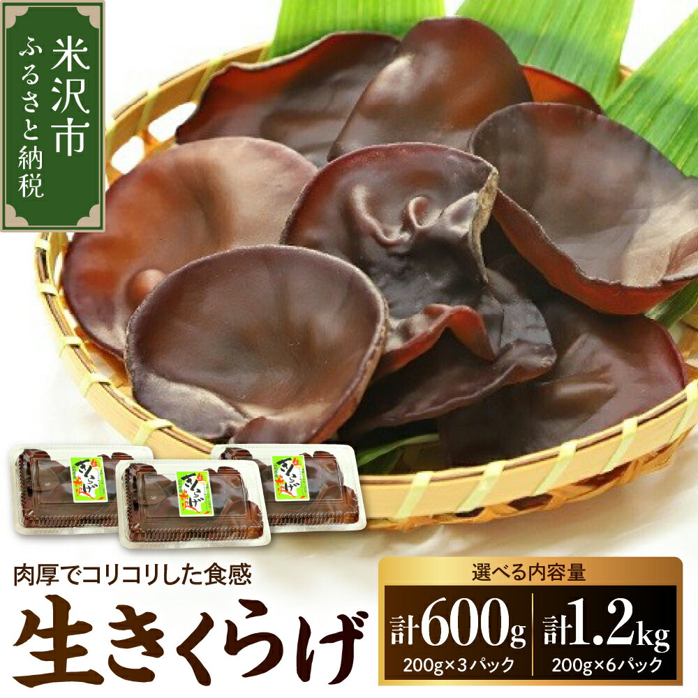 《先行予約》【期間限定】 米沢産 生きくらげ 選べる内容量(計 600g / 1.2kg ) 6～10月中旬頃配送 キクラゲ 木耳 きのこ キノコ 野菜 栄養豊富 肉厚 贈答 ギフト お試し 国産 山形県 米沢市