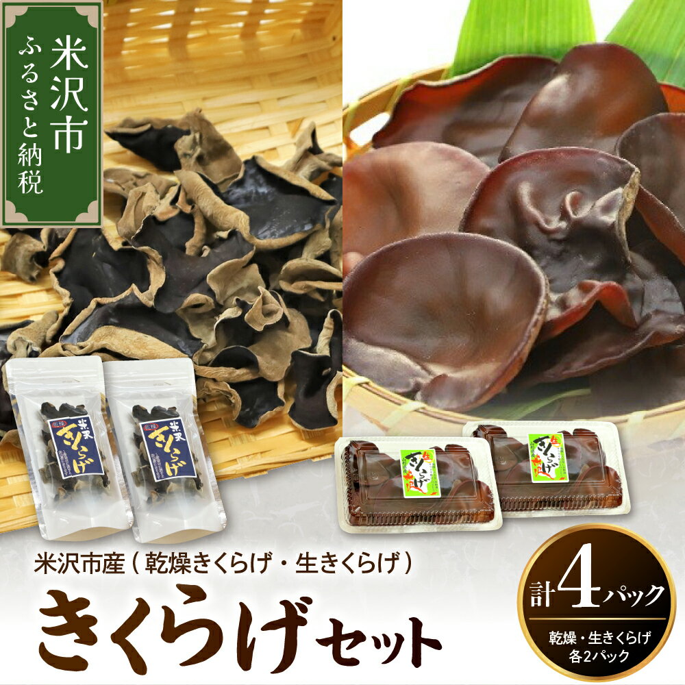 《先行予約》【 期間限定 】 きくらげ セット 計 4セット（ 生きくらげ 2パック 乾燥きくらげ 2袋 ）〔 2026年 6月 ～ 10月 中旬頃お届け 〕キクラゲ 木耳 きのこ キノコ 野菜 栄養豊富 肉厚 干し 乾物 贈答 ギフト 国産 山形県