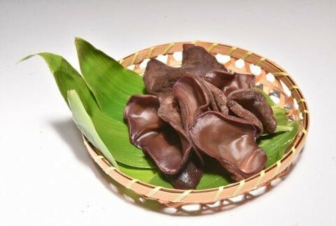 【ふるさと納税】《先行予約》【期間限定】 米沢産 生きくらげ 選べる内容量(計 600g / 1.2kg ) 6～10月中旬頃配送 キクラゲ 木耳 きのこ キノコ 野菜 栄養豊富 肉厚 贈答 ギフト お試し 国産 山形県 米沢市 - 画像3