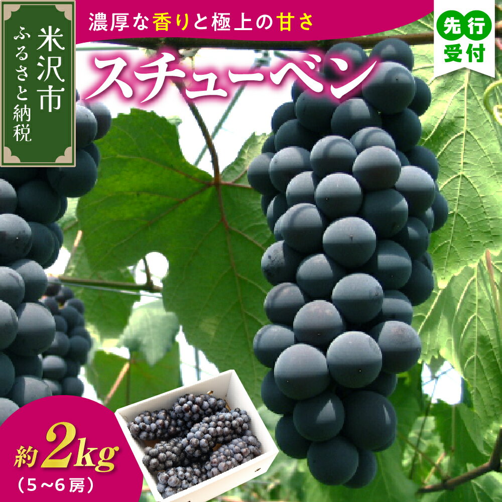 【先行予約】【数量限定】【令和8年産】ぶどう スチューベン ( 種あり ) 2kg ( 5～6房 ) 2026年9月25日～10月31日頃お届け予定