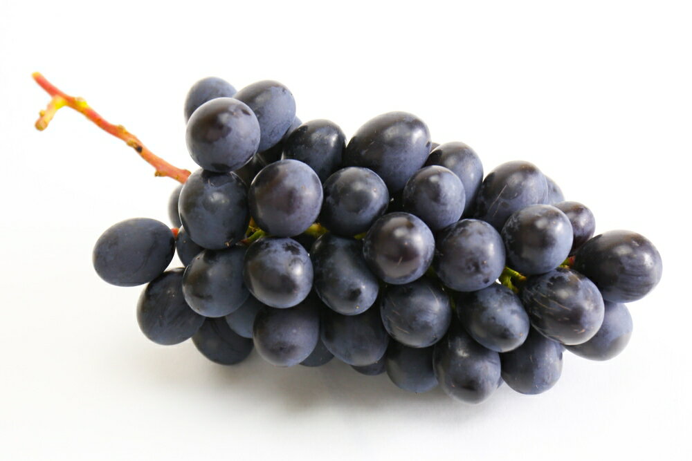 【ふるさと納税】【先行予約】【数量限定】【令和8年産】大粒 ぶどう 詰合せ 4種類 2.5kg 4房 品種おまかせ 2026年9月15日～9月30日頃お届け予定 サムネイル3