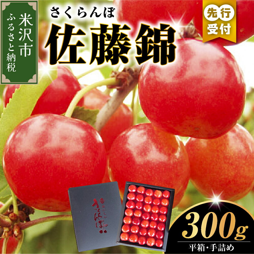 【先行予約】【数量限定】【令和8年産】さくらんぼ 佐藤錦 300g 平箱 手詰め 秀L以上 2026年6月中旬～下旬頃お届け予定