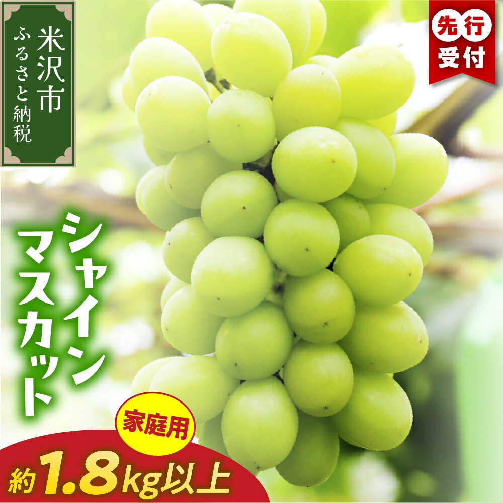 【先行予約】【数量限定】【令和8年産】ぶどう 家庭用 訳あり シャインマスカット 1.8kg 2026年9月中旬 ～ お届け 〕 2025年産9月15日～9月30日頃お届け予定
