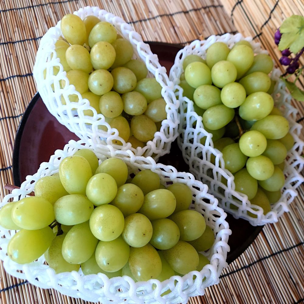 【ふるさと納税】【先行予約】【数量限定】【令和8年産】ぶどう 家庭用 訳あり シャインマスカット 1.8kg 2026年9月中旬 ～ お届け 〕 2025年産9月15日～9月30日頃お届け予定 サムネイル3