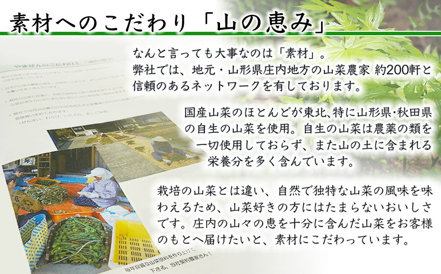 【ふるさと納税】国産山菜水煮セット 大 B01-451 | 山形県鶴岡市 山形県 鶴岡市 山形 鶴岡 楽天ふるさと 納税 支援 東北 返礼品 山菜 セット 野菜 やさい お取り寄せ ご当地 特産品 食品 食べ物 食料品 取り寄せ さんさい 山の幸 国産 水煮 国産山菜 お土産 支援品 - 画像3