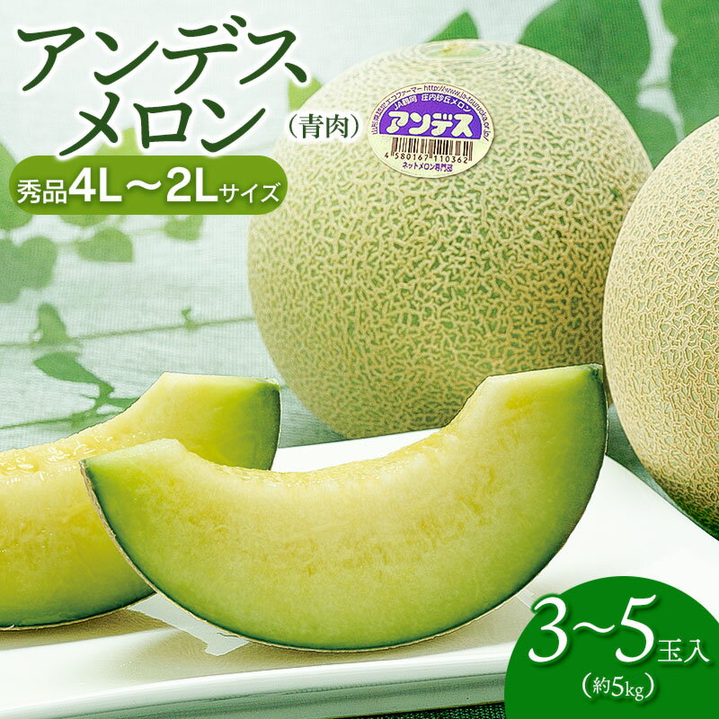 【令和8年産先行予約】 アンデスメロン (青肉) (3〜5玉) 秀品 4L〜2Lサイズ　K-839 | 山形県 鶴岡市 返礼品 フルーツ 果物 くだもの お取り寄せ グルメ めろん 果実 約5kg 2026年