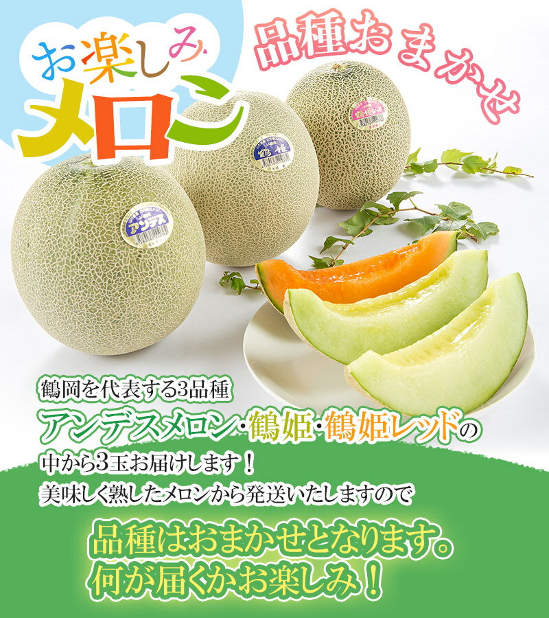【ふるさと納税】【令和8年産先行予約】 お楽しみメロン3玉セット 2Lサイズ　アンデスメロン・鶴姫メロン・鶴姫レッドメロンの中から3玉お届け K-836 | 山形県庄内産 鶴岡市 返礼品 フルーツ 果物 くだもの 取り寄せ ギフト 食べ物 庄内砂丘 - 画像3