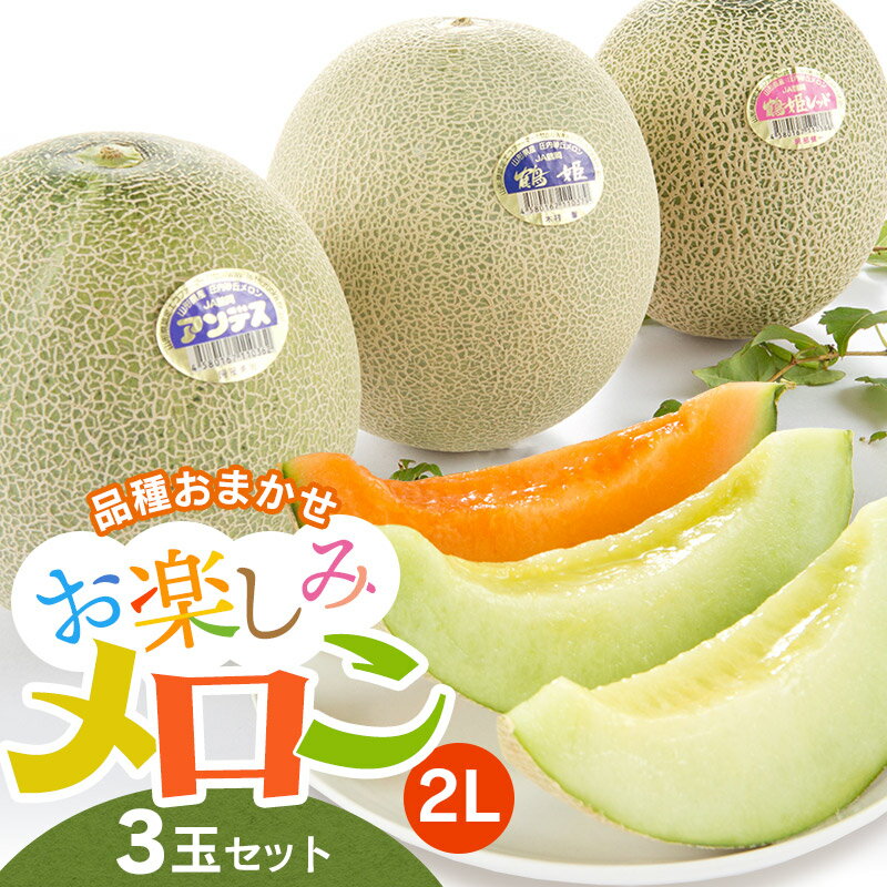 【令和8年産先行予約】 お楽しみメロン3玉セット 2Lサイズ　アンデスメロン・鶴姫メロン・鶴姫レッドメロンの中から3玉お届け K-836 | 山形県庄内産 鶴岡市 返礼品 フルーツ 果物 くだもの 取り寄せ ギフト 食べ物 庄内砂丘