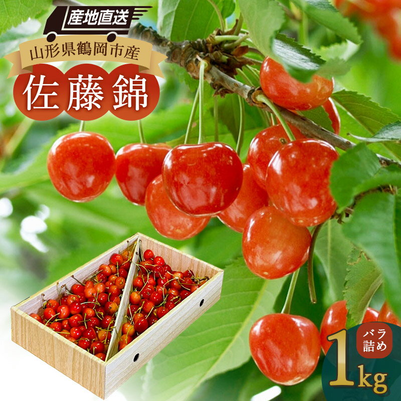 【令和8年産先行予約】山形県鶴岡産　さくらんぼ「佐藤錦」バラ詰め1kg　K-867