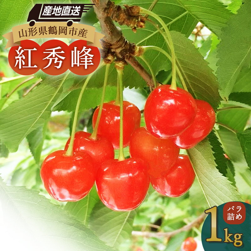 【令和8年産先行予約】山形県鶴岡産　さくらんぼ「紅秀峰」バラ詰め1kg　K-874