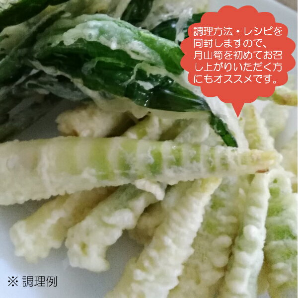 【ふるさと納税】【令和8年産先行予約】月山筍(ネマガリダケ) サイズミックス 2kg　発送時期：5月上旬〜6月上旬頃　がっさん たけのこ サムネイル2