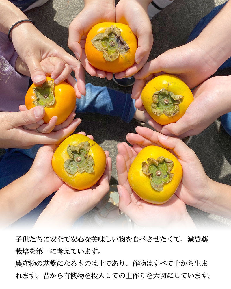 【ふるさと納税】【令和7年産先行予約】小池半左衛門の庄内柿 5kg 平核無柿（ひらたねなしかき）| 庄内柿 柿 山形県 鶴岡市 山形 鶴岡 楽天ふるさと 納税 返礼品 支援品 支援 特産品 フルーツ くだもの 果物 かき お取り寄せグルメ ご当地 国産 デザート サムネイル3