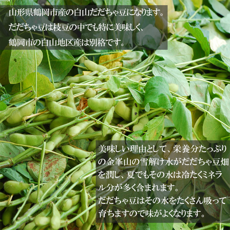 【ふるさと納税】 【令和8年産先行予約】山形県鶴岡市産 白山だだちゃ豆 1.5kg 発送時期：8月上旬〜9月上旬 枝豆 | 山形県 鶴岡市 山形 鶴岡 楽天ふるさと 納税 支援 東北 えだまめ エダマメ 特産品 お取り寄せ ご当地 豆 茶豆 名産品 おつまみ 酒のつまみ 2026年 - 画像2