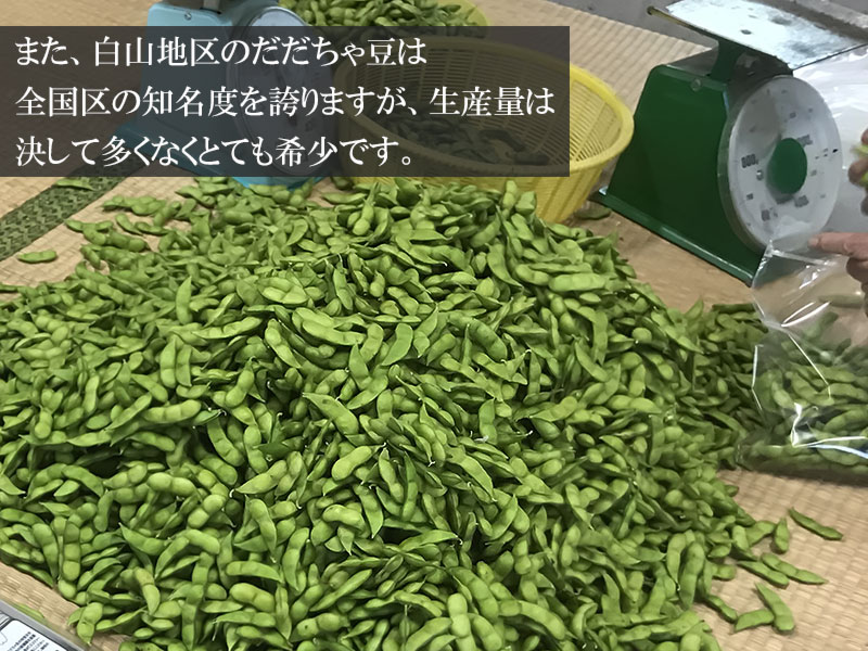 【ふるさと納税】 【令和8年産先行予約】山形県鶴岡市産 白山だだちゃ豆 1.5kg 発送時期：8月上旬〜9月上旬 枝豆 | 山形県 鶴岡市 山形 鶴岡 楽天ふるさと 納税 支援 東北 えだまめ エダマメ 特産品 お取り寄せ ご当地 豆 茶豆 名産品 おつまみ 酒のつまみ 2026年 - 画像3