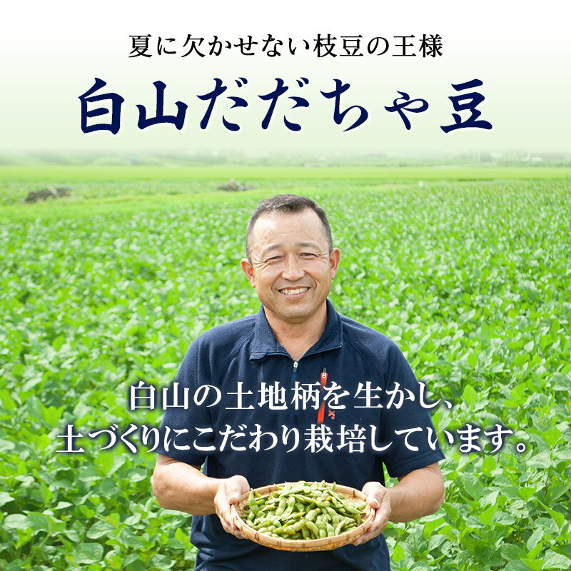 【ふるさと納税】【令和8年産先行予約】 夏に欠かせない枝豆の王様 白山だだちゃ豆 選べる容量【1kg〜10kg】+訳あり200g（8・10kgのみ+500g）【令和8年6月までのお申込み限定】 | だだちゃ豆 山形県 鶴岡市 白山産 枝豆 先行予約 期間限定 旬 特産物 甘い 味が濃い おつまみ - 画像2