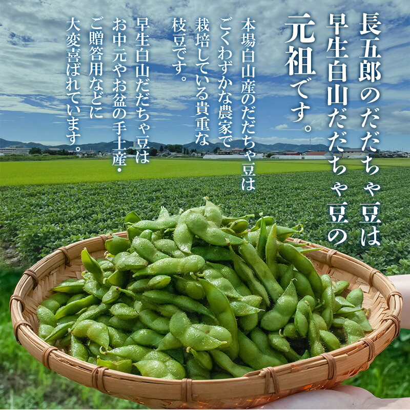 【ふるさと納税】【令和8年産先行予約】 夏に欠かせない枝豆の王様 白山だだちゃ豆 選べる容量【1kg〜10kg】+訳あり200g（8・10kgのみ+500g）【令和8年6月までのお申込み限定】 | だだちゃ豆 山形県 鶴岡市 白山産 枝豆 先行予約 期間限定 旬 特産物 甘い 味が濃い おつまみ - 画像3