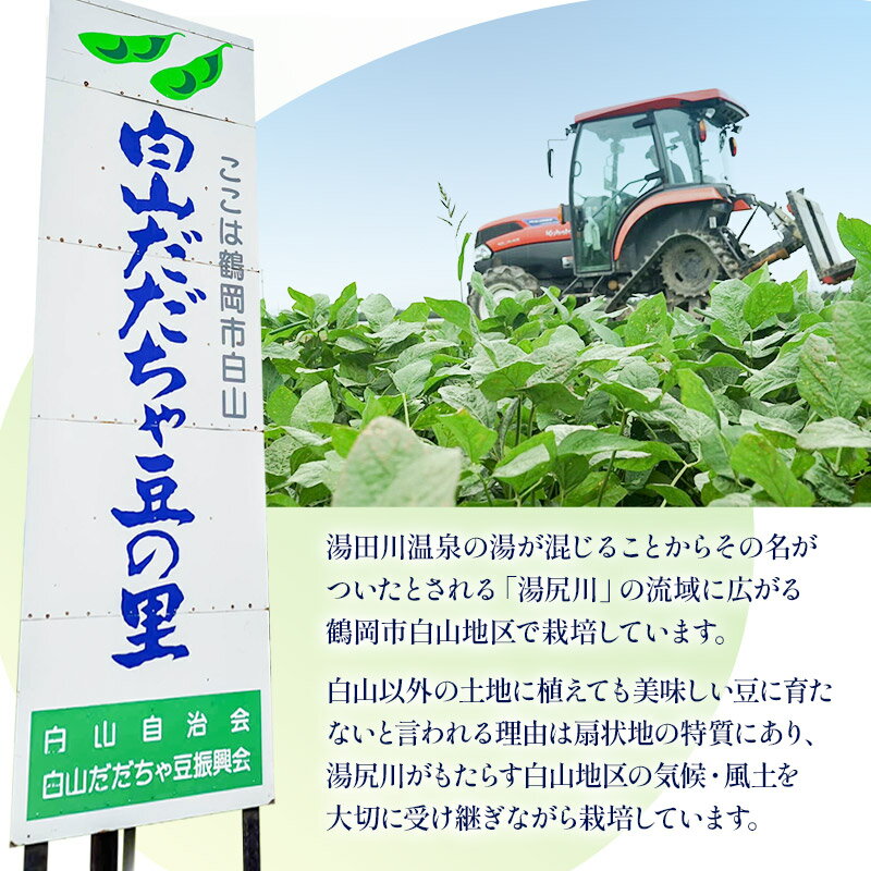 【ふるさと納税】【令和8年産先行予約】【訳あり】白山だだちゃ豆 選べる容量【1kg〜5kg】| だだちゃ豆 山形県 鶴岡市 庄内 枝豆 えだまめ 訳あり 規格外品 先行予約 期間限定 夏 旬 夏野菜 特産物 甘い 味が濃い 香り豊か ビールに合う 塩ゆで おつまみ 家飲み 晩酌 お供 - 画像3