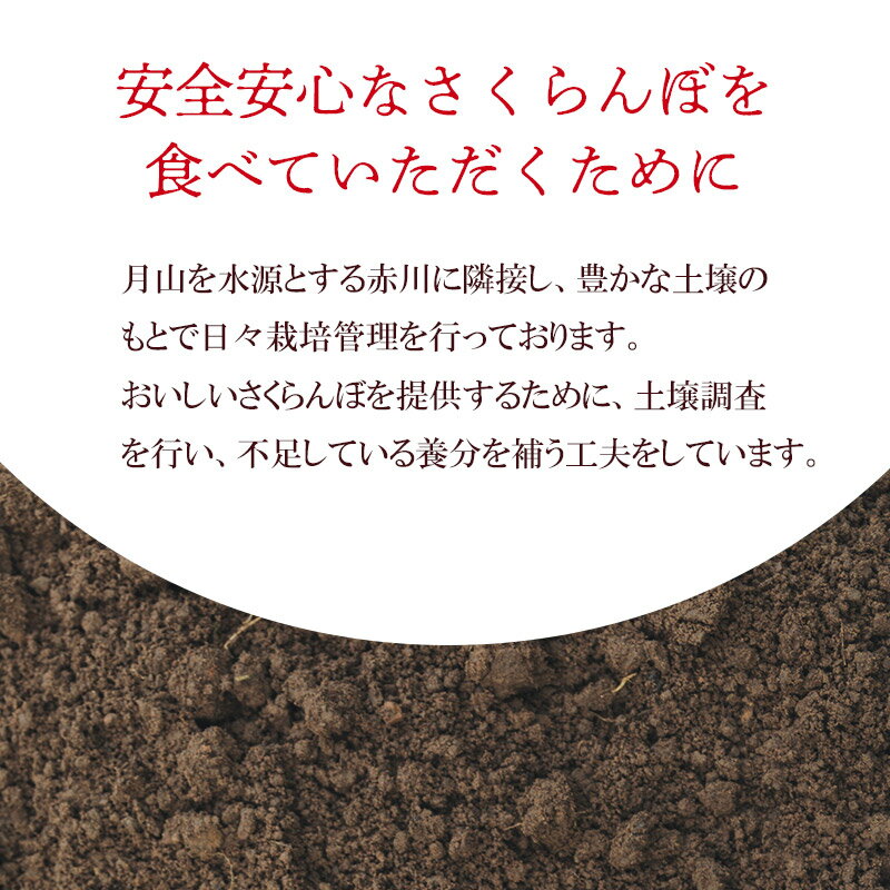 【ふるさと納税】【令和8年産先行予約】さくらんぼ 紅さやか バラ詰め M〜Lサイズ混合 800g(200g×4)　山形県鶴岡市産 サムネイル2