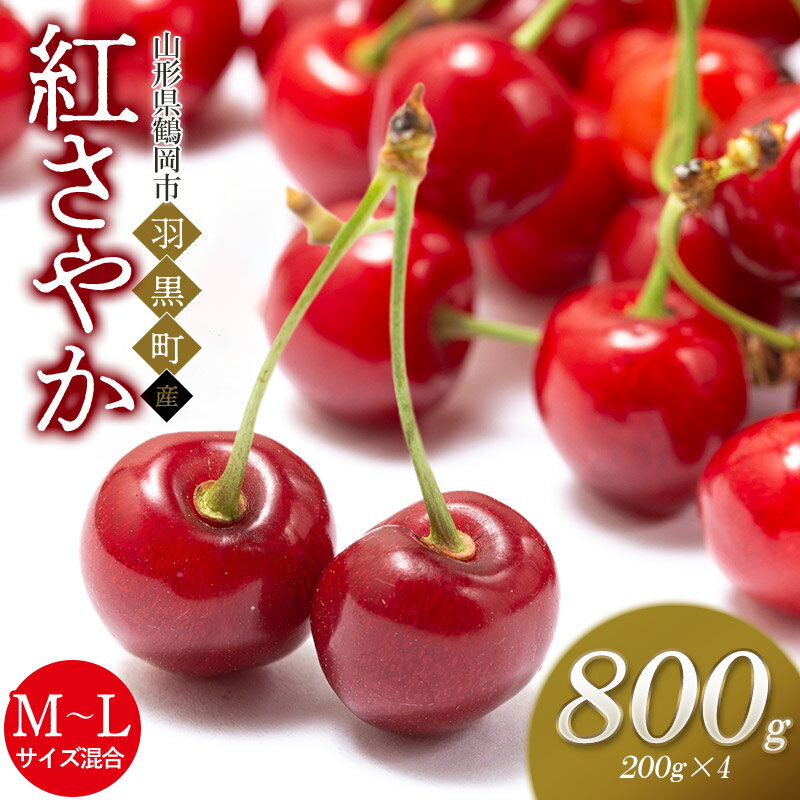 【令和8年産先行予約】さくらんぼ 紅さやか バラ詰め M〜Lサイズ混合 800g(200g×4)　山形県鶴岡市産