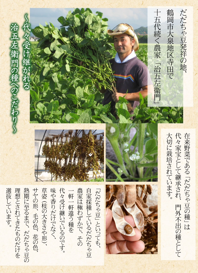 【ふるさと納税】【令和8年産先行予約】山形セレクション認定！15代目「治五左衛門」の新鮮だだちゃ豆（白山だだちゃ豆）1.35kg(450g×3袋) | 枝豆 山形県 鶴岡市 えだまめ 楽天ふるさと 納税 東北 お取り寄せ 豆 茶豆 鶴岡 おつまみ だだ茶豆 - 画像2