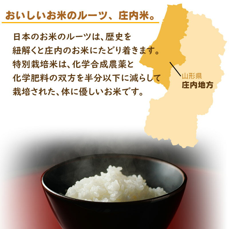 【ふるさと納税】【令和7年産】特別栽培米 つや姫 精米 10kg(5kg×2袋)［1回発送 or 3ヶ月定期便］　山形県庄内産　鶴岡米穀商業協同組合 - 画像2