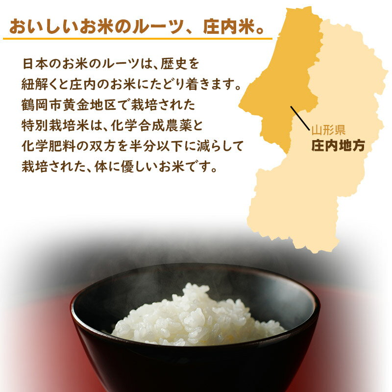 【ふるさと納税】【令和7年産】特別栽培米 つや姫5kg＆雪若丸5kg（合計 精米10kg） 山形県庄内産　鶴岡米穀商業協同組合 - 画像2