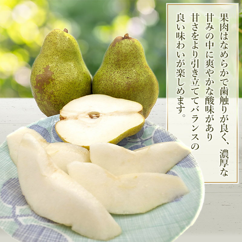 【ふるさと納税】【令和7年産 先行予約】 シルバーベル（洋梨） 3kg（5〜12玉入） 秀優混合　庄内産直センター サムネイル3