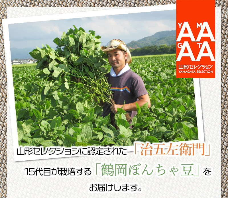 【ふるさと納税】【令和8年産先行予約】山形セレクション認定！15代目「治五左衛門」の新枝豆「つるおか・ぼんちゃ豆」1.35kg(450g×3袋) - 画像2