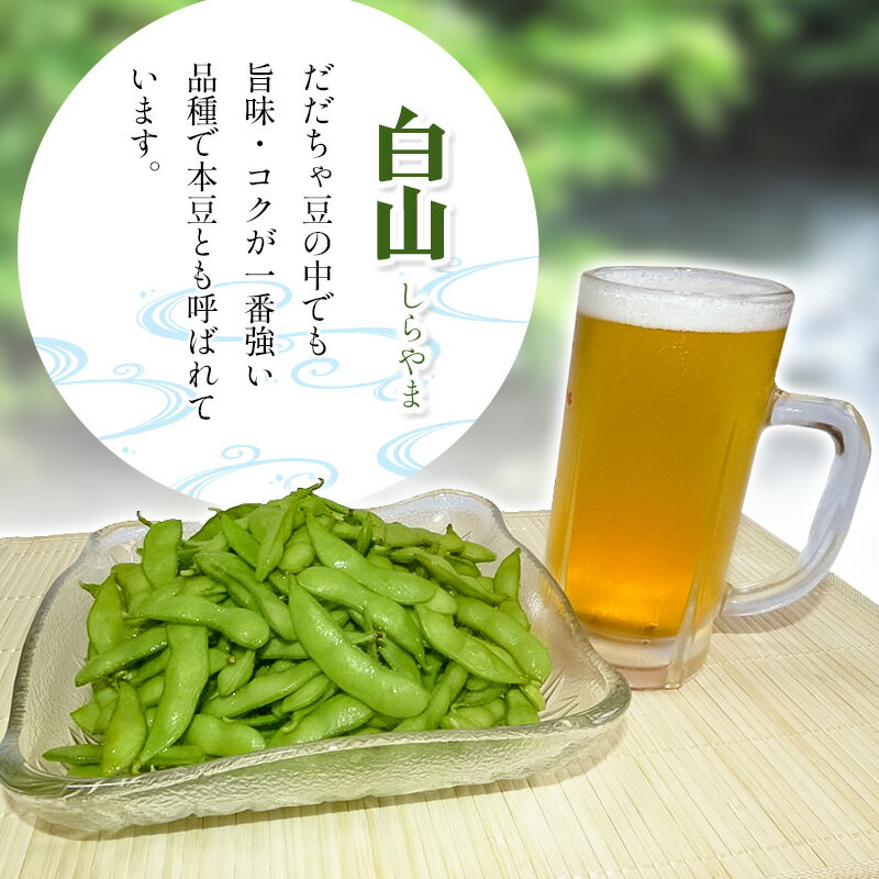 【ふるさと納税】【令和8年産先行予約】小池農園のだだちゃ豆【白山】1.8kg（600g×3袋） K-832 枝豆 - 画像3