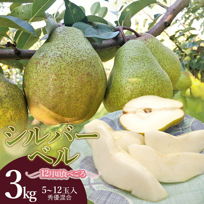 【令和7年産 先行予約】 シルバーベル（洋梨） 3kg（5〜12玉入） 秀優混合　庄内産直センター