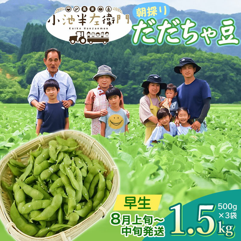 【令和8年産先行予約】朝採りだだちゃ豆 早生1.5kg (500g×3袋)　枝豆 小池半左衛門　山形県鶴岡市
