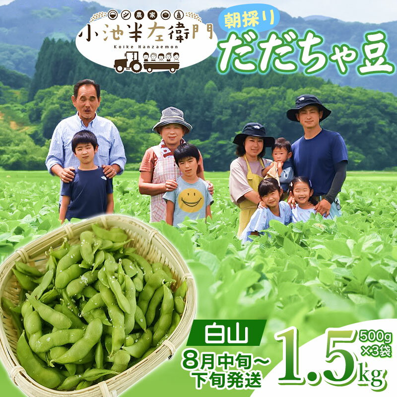 【令和8年産先行予約】朝採りだだちゃ豆 白山 1.5kg(500g×3袋) 枝豆 小池半左衛門　山形県鶴岡市