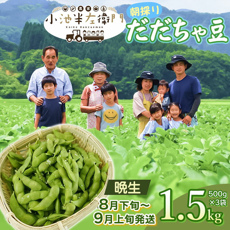 【令和8年産先行予約】朝採りだだちゃ豆 晩生 1.5kg(500g×3袋) 枝豆 小池半左衛門　山形県鶴岡市