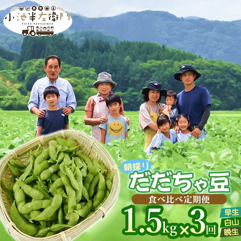 【令和8年産先行予約】朝採りだだちゃ豆 食べ比べ定期便 1.5kg (500g×3袋)×3回 お届け 早生・白山・晩生 枝豆 小池半左衛門　山形県鶴岡市
