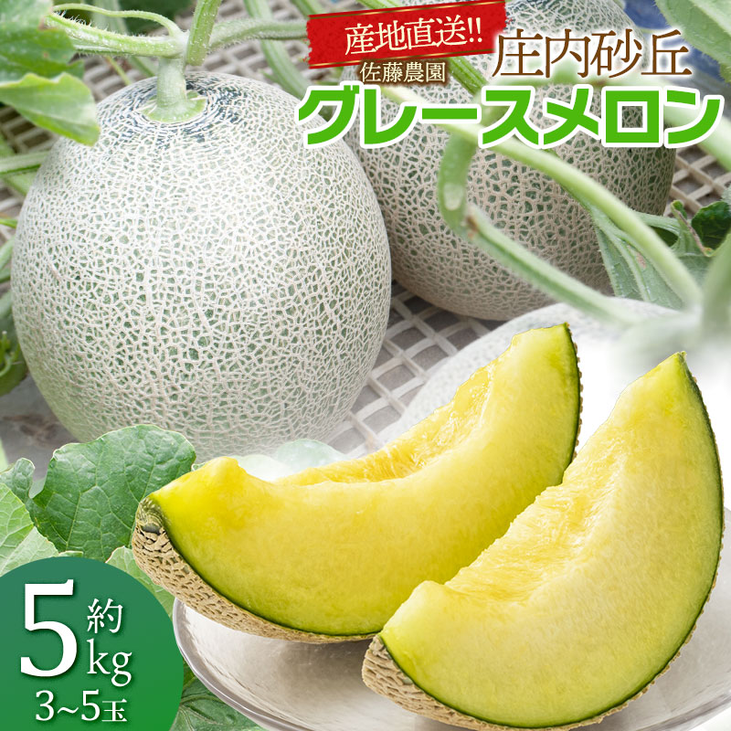 【令和8年産先行予約】産地直送！ 庄内砂丘グレースメロン 約5kg（3〜5玉）秀品 4L〜2L玉 K-835 | 山形県 鶴岡市 フルーツ 果物 くだもの お取り寄せグルメ 青肉 めろん 特産品 名産品 2026年