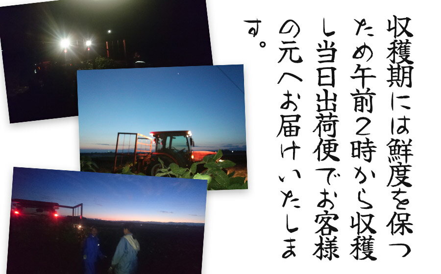 【ふるさと納税】【令和8年産先行予約】 ”元祖”森屋藤十郎の白山産だだちゃ豆 お楽しみ定期便3回「早生・白山(本豆)・晩生」各1kg（500g×2袋） K-831　鶴岡特産 | 枝豆 山形県 鶴岡市 東北 えだまめ エダマメ 特産品 お取り寄せ ご当地 茶豆 名産品 おつまみ 肴 食品 - 画像3