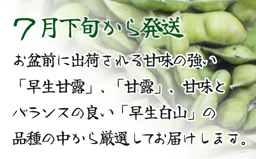 【ふるさと納税】【令和8年産先行予約】 ”元祖”森屋藤十郎の白山産だだちゃ豆 早生 1kg（500g×2袋） K-831　鶴岡特産 | 枝豆 山形県 鶴岡市 東北 えだまめ エダマメ 特産品 お取り寄せ ご当地 茶豆 名産品 おつまみ 酒のつまみ 肴 食品 - 画像2