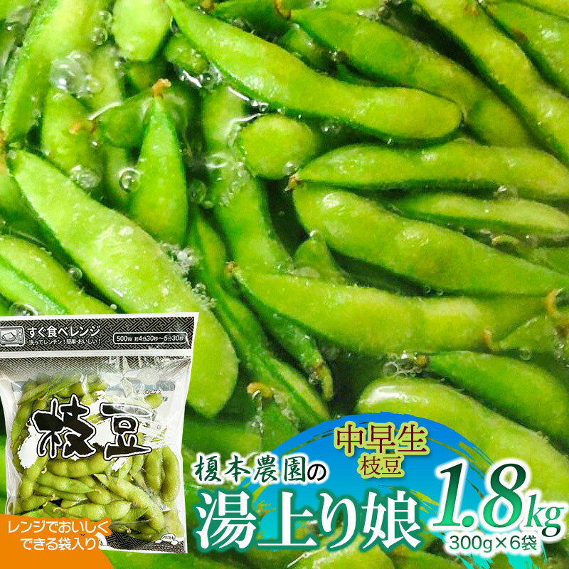 【令和8年産先行予約】榎本農園の枝豆 湯上り娘 1.8kg （300g×6袋） K-834　電子レンジでおいしく出来る袋入り） 中早生 | 2026年産 山形県 鶴岡市 楽天ふるさと 納税 支援 えだまめ お取り寄せ おつまみ 野菜