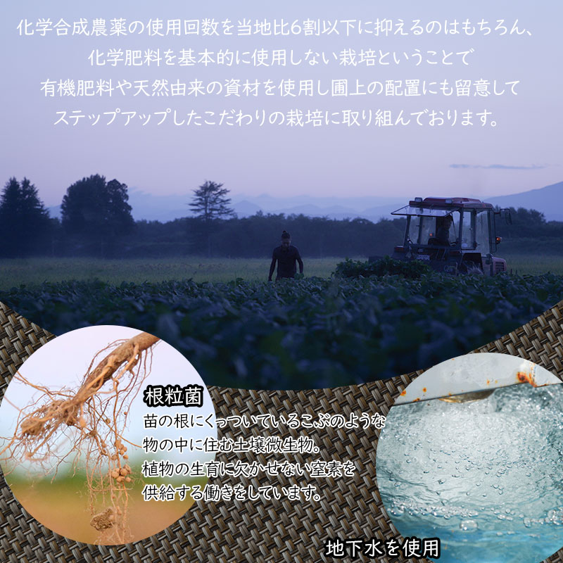 【ふるさと納税】【令和8年産先行予約】 殿やの 特別栽培 だだちゃ豆 2kg （500g×4袋） 枝豆　K-845 | 山形県 鶴岡市 東北 えだまめ エダマメ 特産品 お取り寄せ ご当地 茶豆 名産品 - 画像3