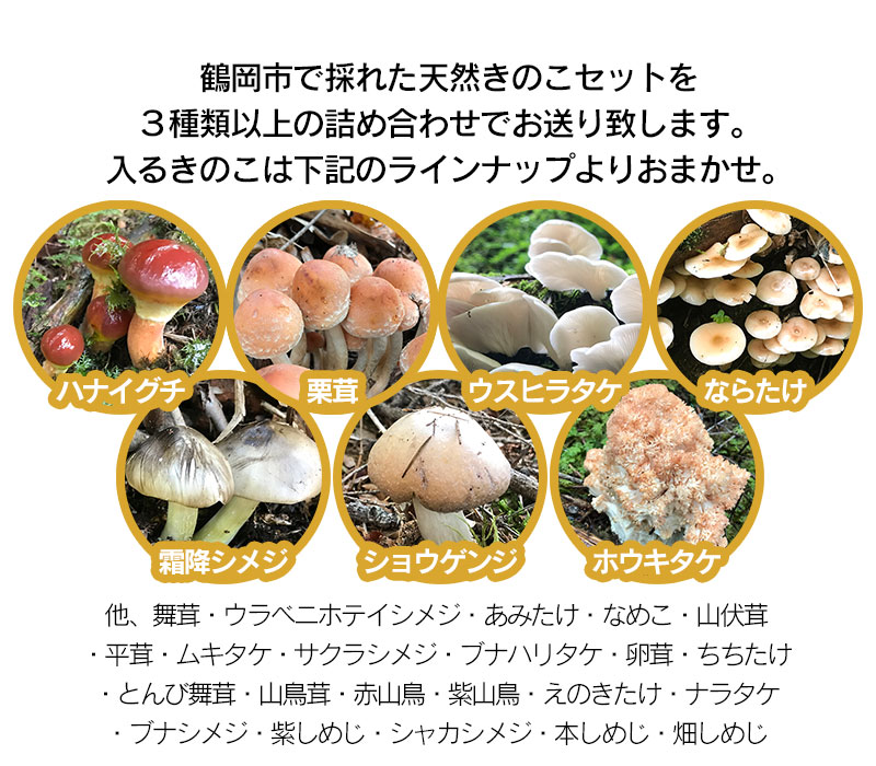 【ふるさと納税】【令和8年産先行予約】天然きのこ おまかせセット（3種類以上）500g【発送時期：8月1日〜11月30日頃】 きのこ わかば屋　2026年 - 画像2