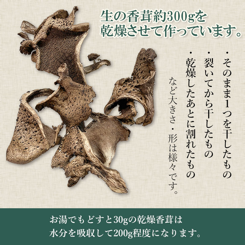 【ふるさと納税】乾燥香茸（獅子茸） 30g　サイズ混合　天日干し　山形県鶴岡市産　【発送時期：4月1日〜7月15日頃】 きのこ わかば屋 - 画像3