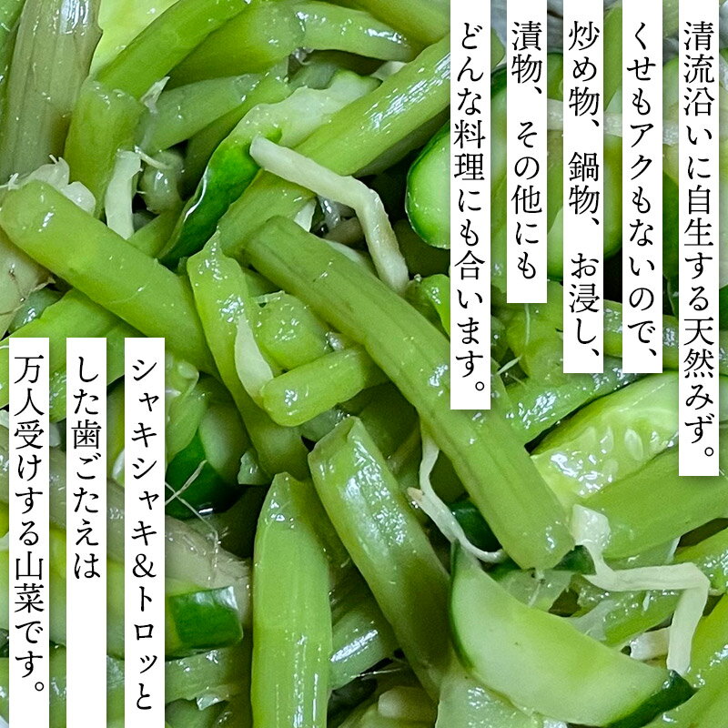【ふるさと納税】 【令和8年産先行予約】むきみず 【500g〜1kg】　天然みず 　わかば屋 - 画像2