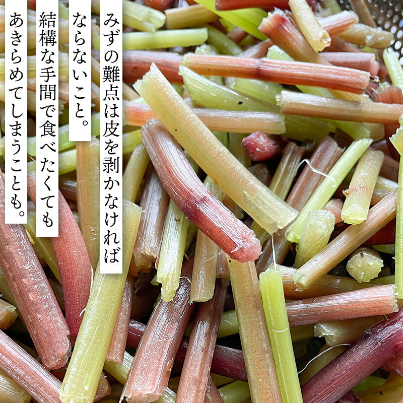 【ふるさと納税】 【令和8年産先行予約】むきみず 【500g〜1kg】　天然みず 　わかば屋 - 画像3