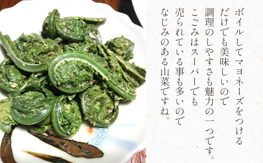 【ふるさと納税】【令和8年産先行予約】天然こごみ 【1kg〜2kg】 山菜　わかば屋　2026年 - 画像3