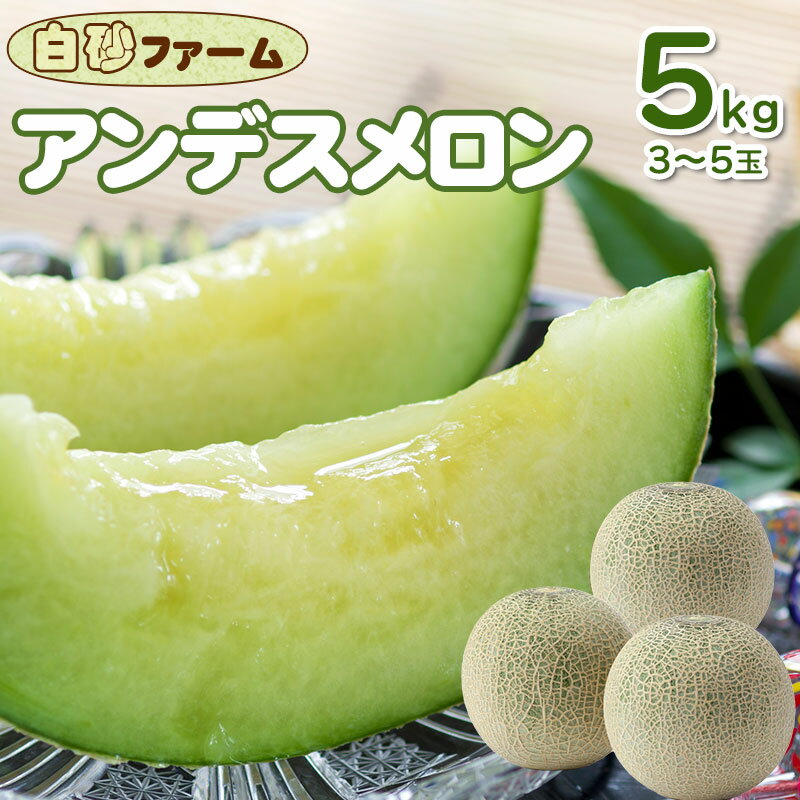 【令和8年産先行予約】アンデスメロン 5kg（3〜5玉）　白砂ファーム