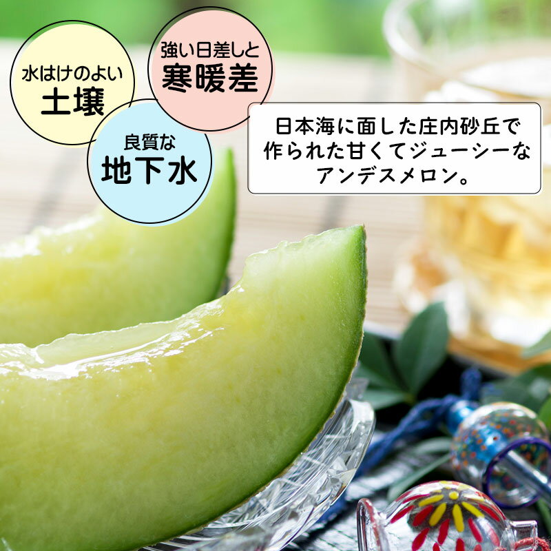 【ふるさと納税】【令和8年産先行予約】アンデスメロン 5kg（3〜5玉）　白砂ファーム サムネイル2