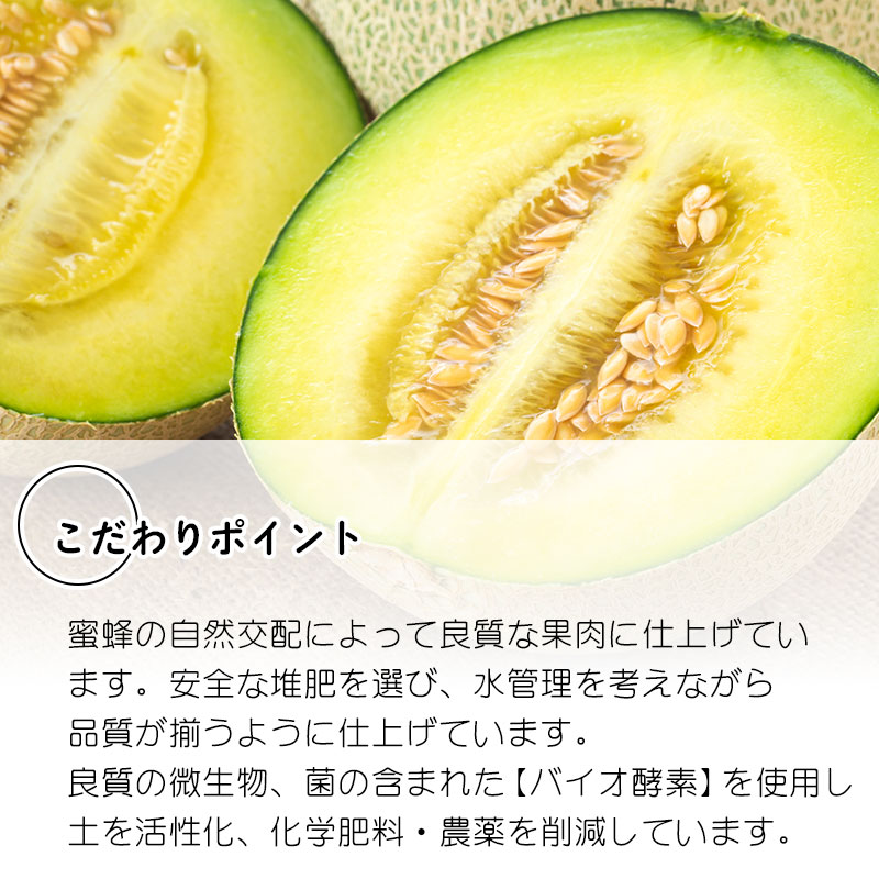 【ふるさと納税】【令和8年産先行予約】アンデスメロン 5kg（3〜5玉）　白砂ファーム サムネイル3