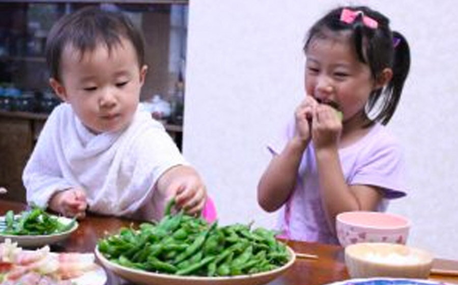 【ふるさと納税】【定期便3ヶ月】「神の枝豆」と呼ばれた與惣兵衛（よそべい）の【冷凍】だだちゃ豆800g×3回 - 画像3