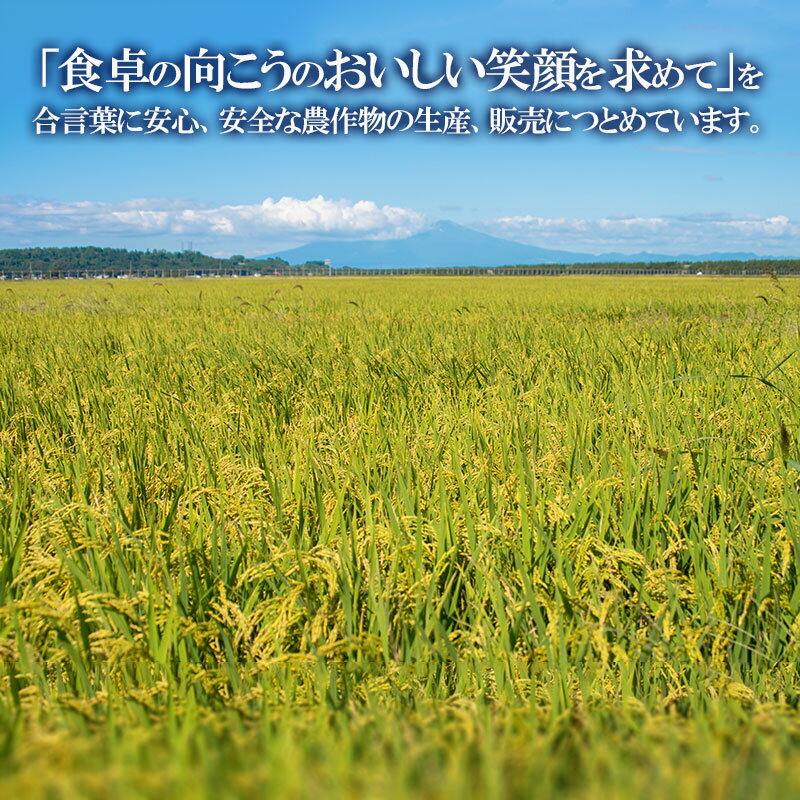 【ふるさと納税】令和7年産 馬町さくらファームの はえぬき 15kg（5kg×3袋） 【お選びください：精米 or 無洗米】　K-7147　| 米 お米 コメ こめ 15キロ ご飯 ごはん ブランド米 国産 美味しい おいしい 返礼品 - 画像2